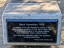 Black November 1918 Christchurch